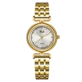 Elegant Gedi gold stainless steel watch with a silver sunray dial and quartz movement - Gold Case White Dial Gold Strap
