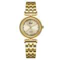 Elegant gold quartz watch for women with sunray dial and five-link steel bracelet - Gold Case Gold Dial Gold Strap