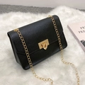 Elegant black grained mini crossbody bag with a gold chain strap on a white fur rug - Black
