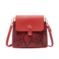 Mini red crossbody bucket bag with snake skin pattern and golden hardware lock - Red