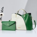 Ensemble sac à main blanc et vert motif crocodile avec poignées en métal doré - Vert et Blanc