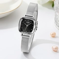 Minimalist square women's watch with silver mesh band and elegant black dial - Silver Case Black Face Silver Band