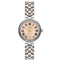 Elegant two-tone rose gold and silver stainless steel quartz watch with Roman numerals - Silver Case Rose Gold Dial Two-tone Rose Gold Band