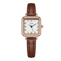 Orologio retrò quadrato da donna con cinturino in pelle marrone e cassa dorata - Marrone