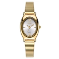 Elegante Vintage Quarz-Damenuhr mit goldenem Metall-Stretchband und silbernem Zifferblatt - Goldenes Gehäuse Weißes Zifferblatt