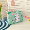 Mint green bunny canvas shoulder bag with cute cartoon rabbit and milk tea prints - Green Bunny