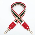 Close-up of adjustable striped woven strap with red leather ends and gold-tone hardware - Red Green + Red Leather