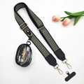 Detail of adjustable woven crossbody strap with gold hardware and clear PVC coin purse - Light Gold Arrow 3-Piece Set - Silver Buckle
