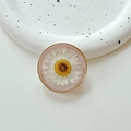 Detailed top view of a resin phone grip with a real white daisy and gold metallic edge - Cloud Shimmer Brown (Transparent Stand-Gold Ring Real Flower Daisy)