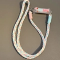 Braided crossbody phone strap with macaron colors and a cute cartoon dachshund charm - No.8 Skinny Dog in Blue Polka Dots - 3-Strand Rope
