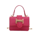 Rose pink minimalist crossbody bag with gold buckle and chain strap on white background - Rose Pink