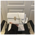 Detail van witte kiezellederen handtas met gouden hoefijzer gesp en elegante klep - Wit