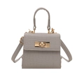 Mini handbag with crocodile texture and gold clasp lock on white background - Khaki