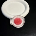 Détail du support de téléphone en forme de poisson rouge avec texture mate - Petit poisson rouge