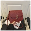 Dettaglio borsa in pelle intrecciata rosso mattone con chiusura a ferro di cavallo - Rosso