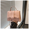 Detail van de roze handtas met krokodillenreliëf en kettingriem vastgehouden door iemand - Roze