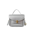 Silberne kleine quadratische Tasche mit goldener Schnalle und verstellbarem Riemen - Silber
