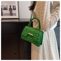 Detailed view of green quilted crossbody bag with gold buckle on a model in interior - Green