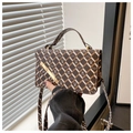Detailed close-up of brown and white checkered crossbody bag with gold metal bar accent - Brown