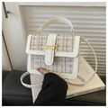 Dettaglio della trama in tweed bianco e fibbia in metallo dorato su piccola borsa a tracolla - Bianco