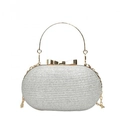 Elegante Mini-Abendtasche mit silbernen Pailletten, Goldgriff und Schleifenverschluss - 19*10*5cm / Silber