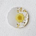 Detail eines Untersetzers aus Harz mit echter gelber Gänseblümchenblüte und Goldfolie - Gelbes Gänseblümchen (2-Kein Text)