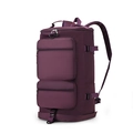 Zaino da viaggio in nylon viola impermeabile di grande capacità con più scomparti - 20-35L / Viola scuro