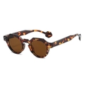 Classic irregular small frame sunglasses with tortoise shell texture and brown lenses - Tortoise Shell Frame
