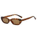 Retro leopard print oval sunglasses with brown lenses for stylish outdoor travel wear - Leopard Frame / Tea Lens