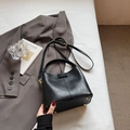 Classic black leather bucket bag with top handle and golden hardware for daily commute - No Pendant / Black