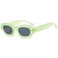Retro light green thick frame sunglasses with dark grey oval lenses for fashion styling - Light Green Frame Grey Lens