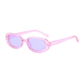 Classic retro oval sunglasses with transparent pink frame and purple lenses for women - Purple Frame / Purple Lens