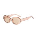 Fashionable oval sunglasses with transparent champagne frames and brown lenses for women - Champagne Frame / Tea Lens