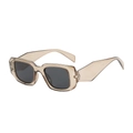 Lunettes de soleil carrées rétro en finition gelée champagne avec verres gris foncés - Monture Thé Clair Verres Gris Noir
