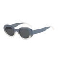 Modische ovale Sonnenbrille mit blau-grauem Farbverlauf und dunkelgrauen Gläsern - Grau Weißer Rahmen Schwarz-Graue Linsen