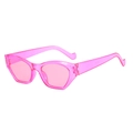 Trendy retro translucent pink cat eye sunglasses for women with irregular frames - Rose Red Frame Pink Lens