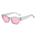 Retro cat-eye zonnebril met transparant grijs montuur en roze lenzen voor dames - Grijs Frame / Roze Lenzen
