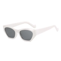 Chique onregelmatige cat-eye zonnebril met wit montuur en donkergrijze glazen voor retro - Steenwit Frame Zwart Grijze Lenzen