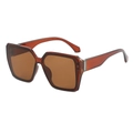 Fashionable square amber sunglasses with translucent frames and brown tinted lenses - Tea Frame Tea Lens
