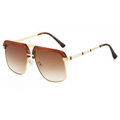 Retro double-bridge sunglasses with gold metal frame and brown gradient lenses - Tea Frame Tea Lens
