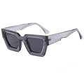 Occhiali da sole oversize alla moda con montatura grigia traslucida spessa e aste larghe - Montatura Grigia / Lenti Nero Grigio