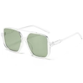 Fashionable square large frame sunglasses with double bridge and transparent green lens - Transparent Frame Green Lens
