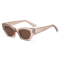 Lunettes de soleil cat-eye tendance avec monture champagne et verres marron - Monture Thé Verres Thé