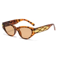 Retro tortoise shell cat eye sunglasses with brown lenses and gold geometric accents - Tortoiseshell Frame Tea Lens