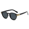 Gafas de sol redondas clásicas en montura negra brillante con lentes gris oscuro - Montura Negra Lentes Gris Negro