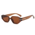 Gafas de sol retro ámbar con montura irregular y detalles de metal plateado elegantes - Montura Té Lente Té