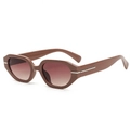 Gafas de sol geométricas marrones de moda con lentes degradados sobre fondo blanco - Montura Café Lentes Degradadas Té