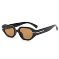 Fashionable irregular black sunglasses with tea-tinted lenses and silver metal hinges - Black Frame Tea Lens