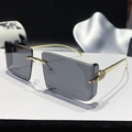 Frameless square sunglasses with grey lenses and gold metal panther temple detail - Solid Grey