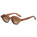 Retro oval small frame sunglasses with transparent tea brown gradient lenses and frame - Tea Frame Tea Lens